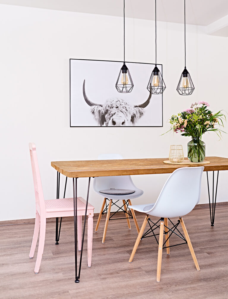 Eames Plastic Side Chair DSW home staging home styling